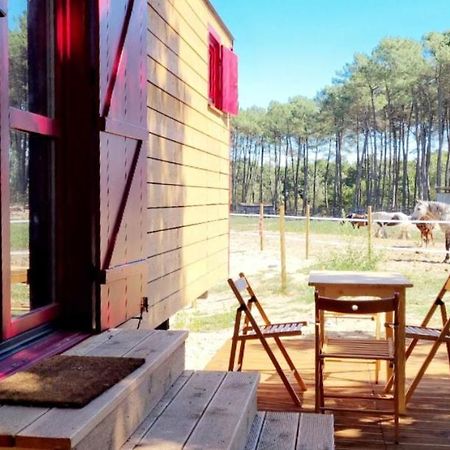 Roulottes Cocooning Au Coeur Des Landes Hotel Mées Eksteriør billede
