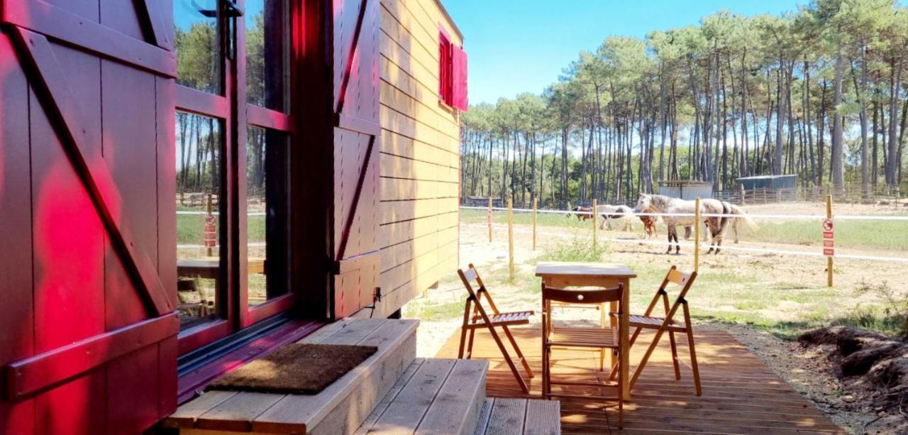Roulottes Cocooning Au Coeur Des Landes Hotel Mées Eksteriør billede