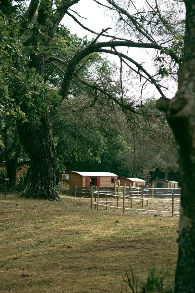 Roulottes Cocooning Au Coeur Des Landes Hotel Mées Eksteriør billede