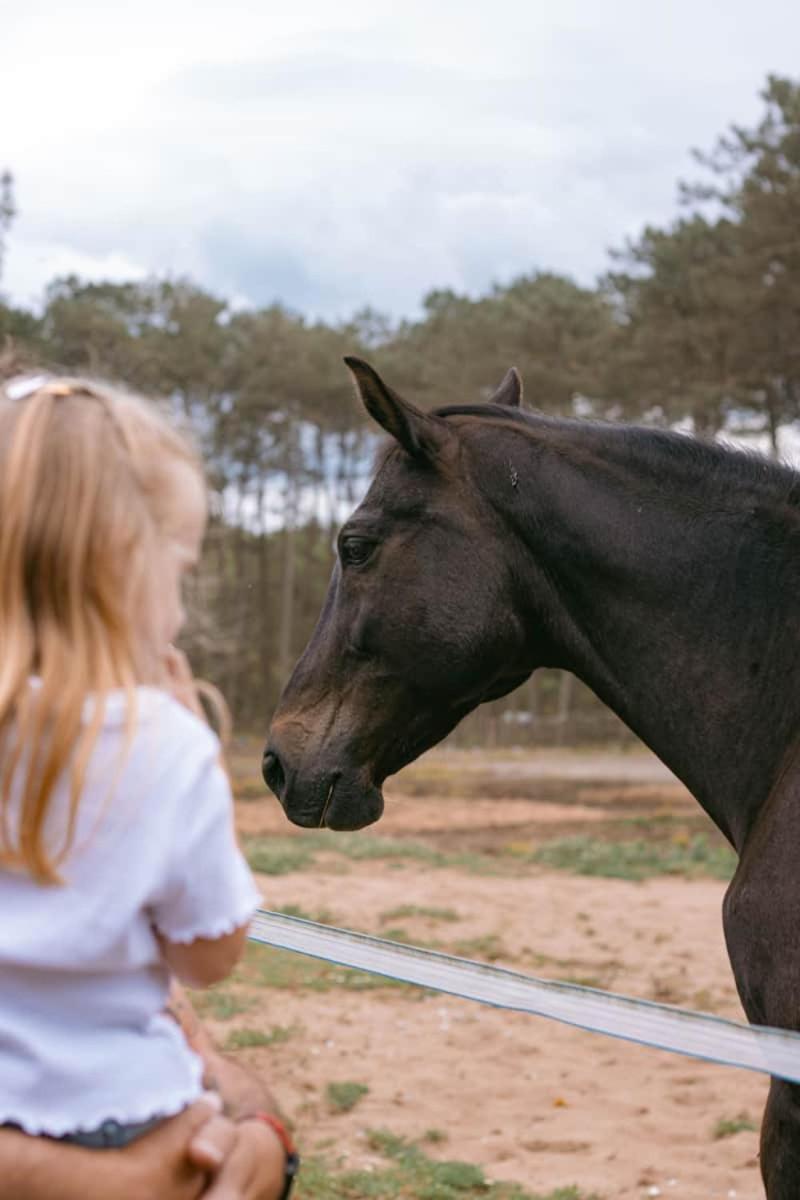 Roulottes Cocooning Au Coeur Des Landes Hotel Mées Eksteriør billede