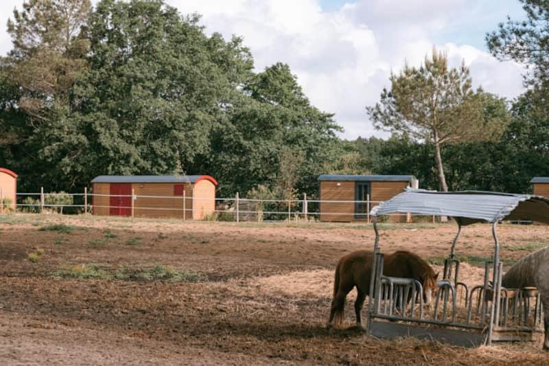 Roulottes Cocooning Au Coeur Des Landes Hotel Mées Eksteriør billede